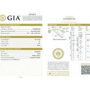 Round Brilliant 1.01 D SI1 GIA Certified Diamond