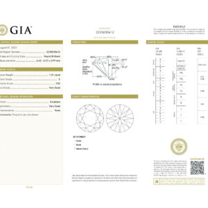 Round Brilliant 1.01 E VS2 GIA Certified Diamond