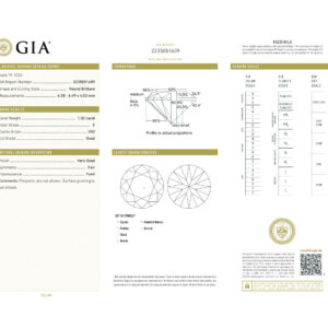Round Brilliant 1.02 E VS2  GIA Certified Diamond