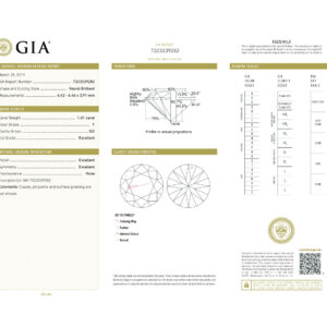 Round Brilliant 1.01 F SI2 GIA Certified Diamond