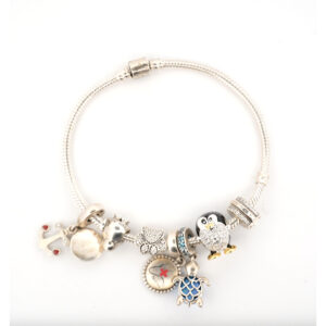 Pandora Sterling Silver Charm Bracelet