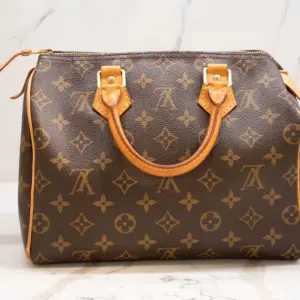Louis Vuitton Monogram Canvas Speedy 25