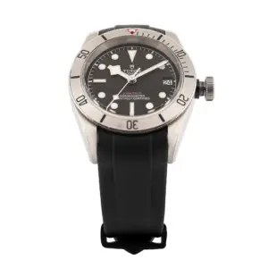 Tudor Heritage Black Bay 41 mm